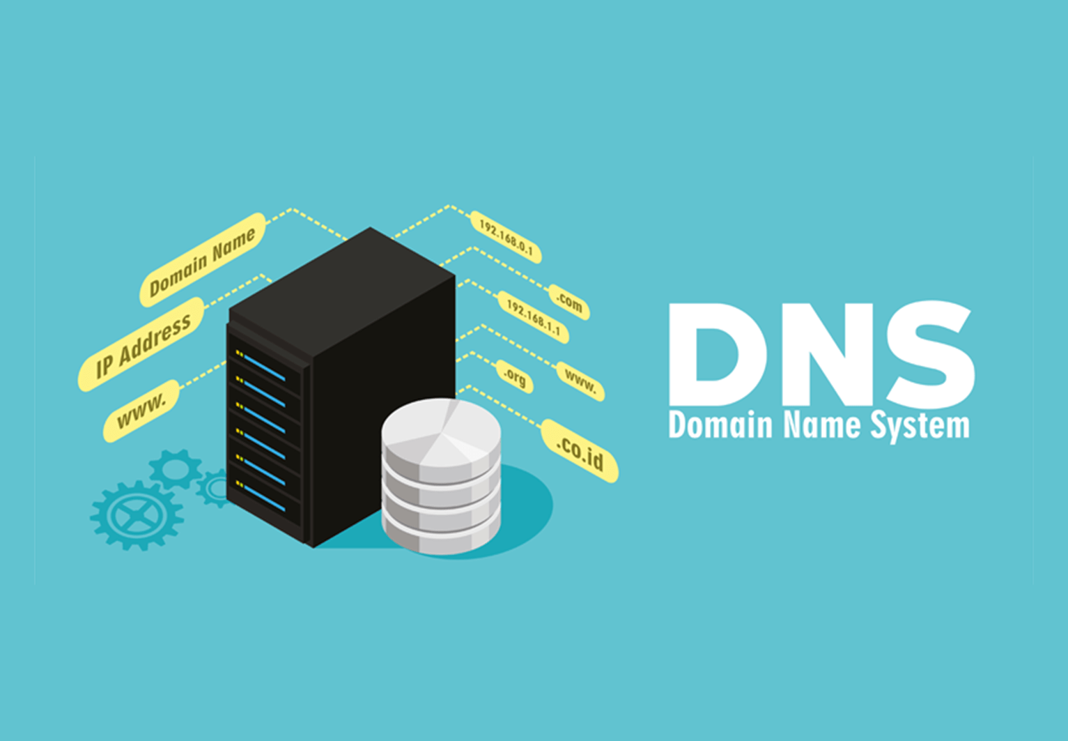 Dns promo site что это